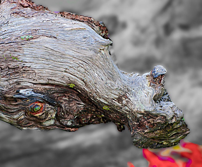 A piece of driftwood found on the beach with a little photoshop to make the red fire.