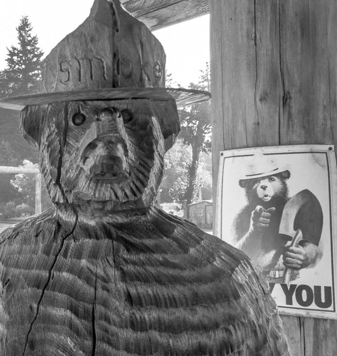 Since my father was a forest ranger, I grew up with Smokey The Bear.  