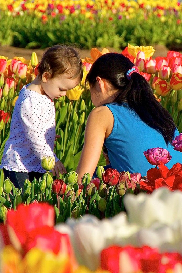 Tulip farm.  This photo is an expression of itself, but I could picture me being that  young child looking at the flowers.