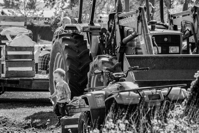 Swan Island is a family owned and operated company.  Here is one of the youngest in one of their fields a couple of years ago.  Don't fret anyone the workers were all on a break and there were plenty of adults around.  I count 3 or 4 in this photo alone.