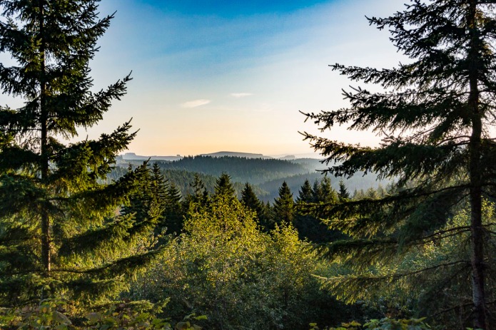 View of Coastal Range Mountains in Oregon.