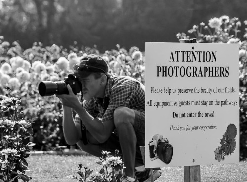 Photographer and sign
