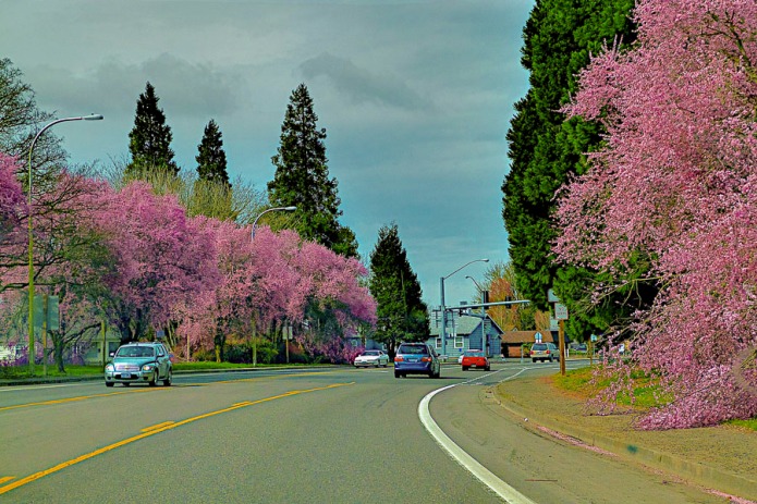 Woodburn, Oregon.
