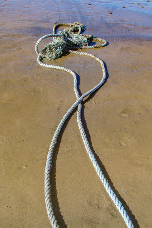 Rope found at the beach.