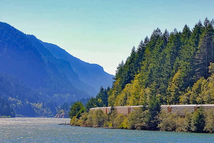Train dwarfed by Douglas Fir Trees, Columbia River and Mountains.