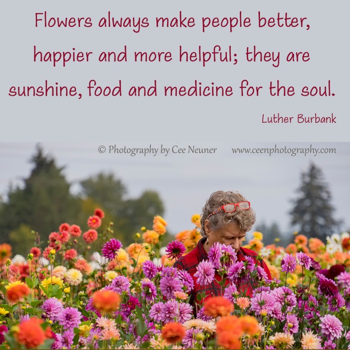 Flowers always make people better, happier and more helpful; they are sunshine, food and medicine for the soul. – Luther Burbank © Photography by Cee Neuner www.ceenphotography.com
