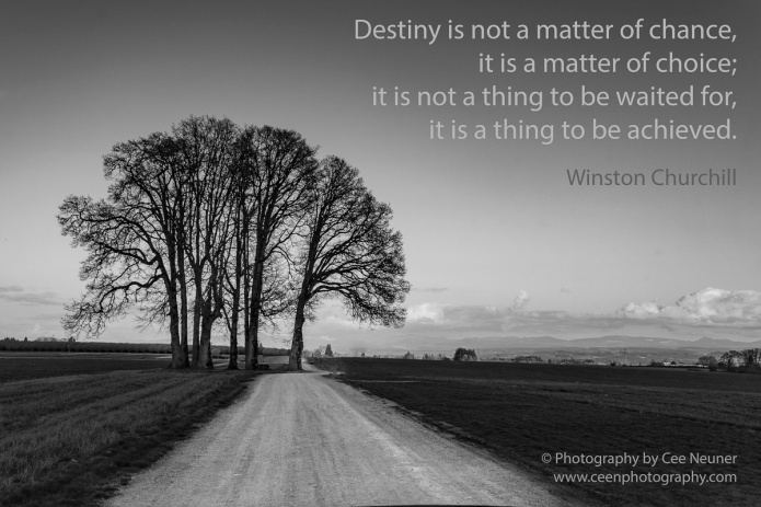 Destiny is not a matter of chance, it is a matter of choice; it is not a thing to be waited for, it is a thing to be achieved, Winston Churchill, pick me up, inspire, uplift, motivate, photography, Cee Neuner, ceenphotography.com, road, black and white, tree, landscape